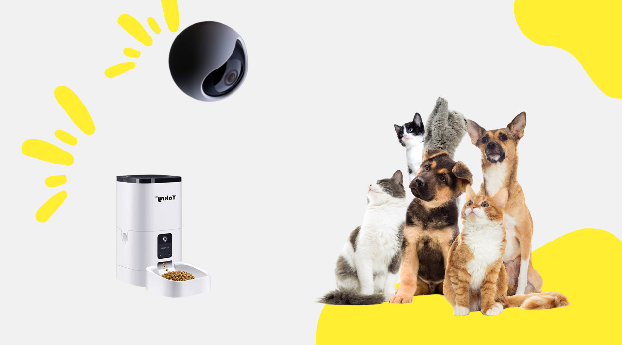 The Most Popular Smart Pet Devices