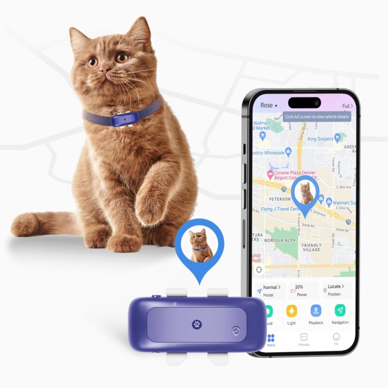 GPS cat trackers