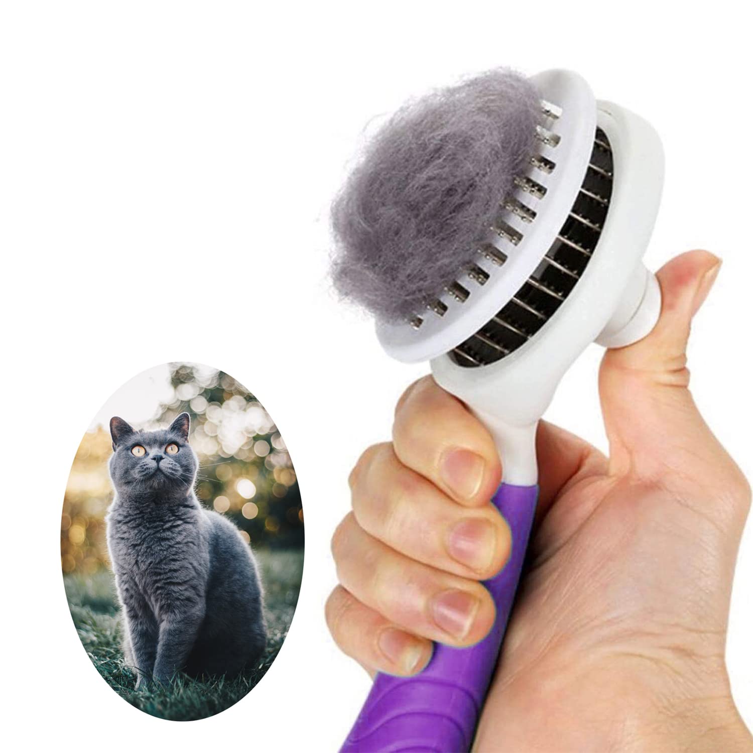 grooming tools for cats