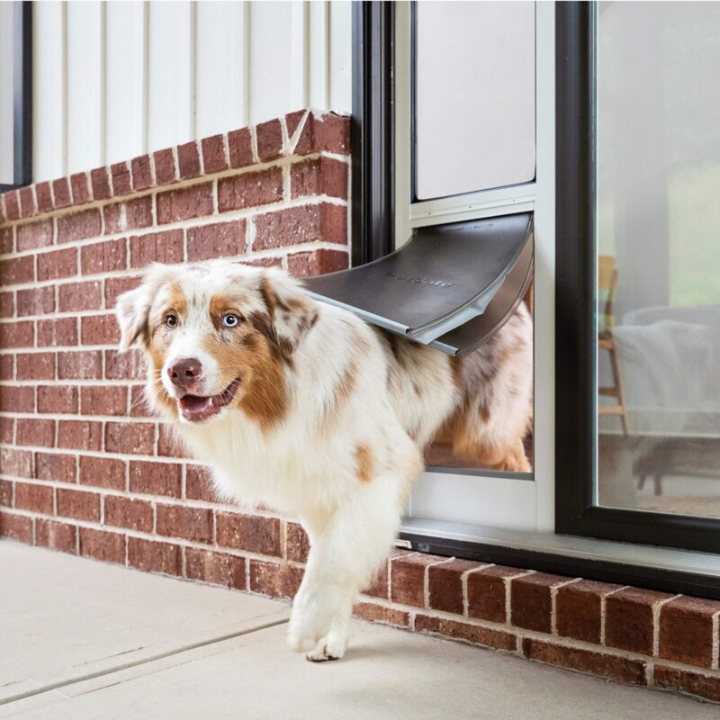 Intelligent pet doors