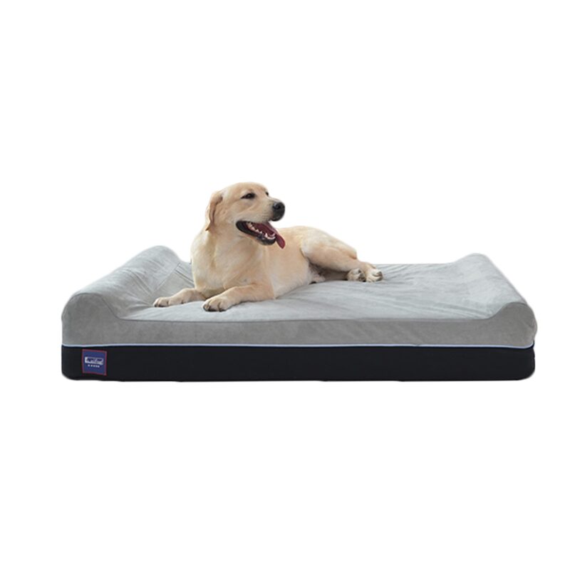 smart pet beds