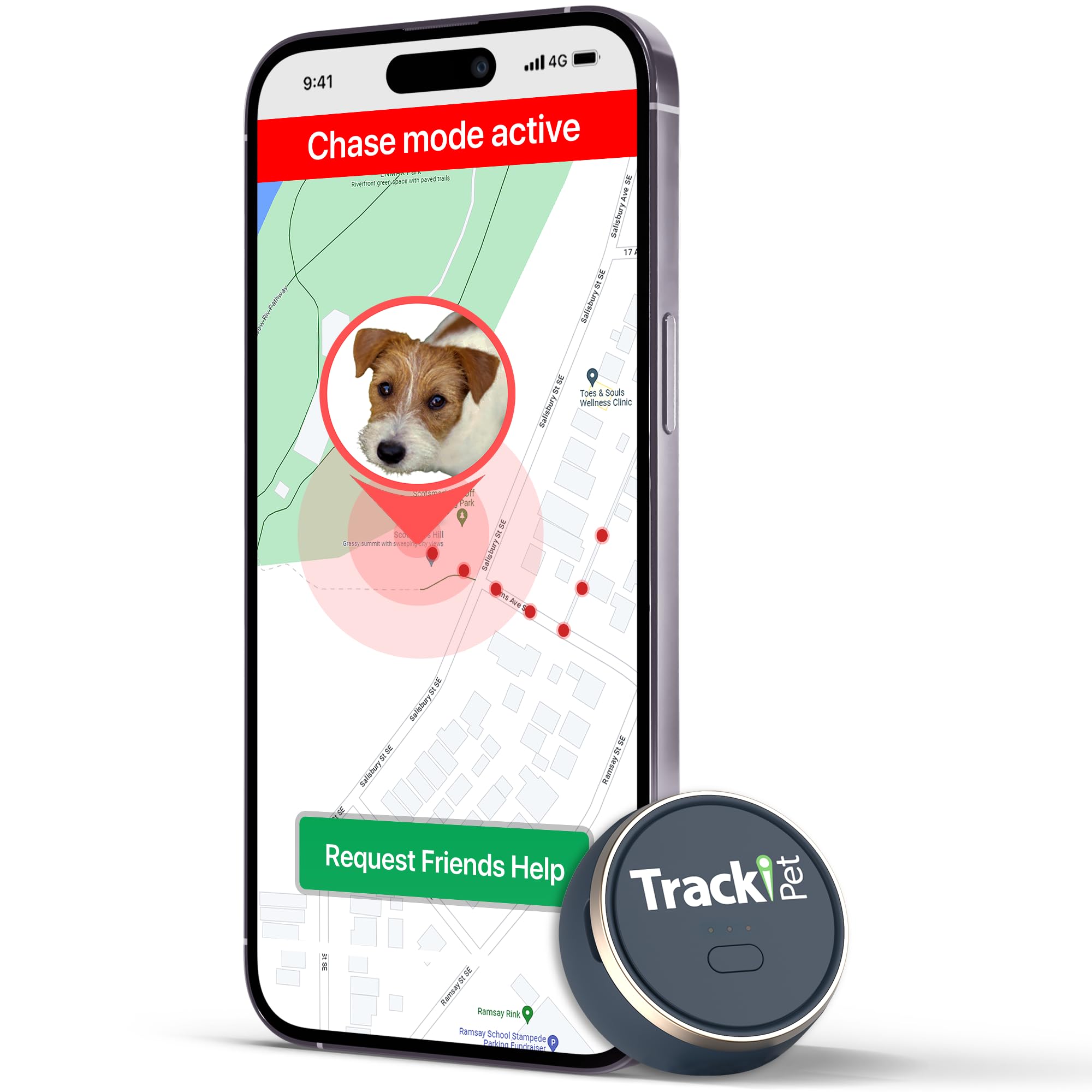 small dog GPS tracker