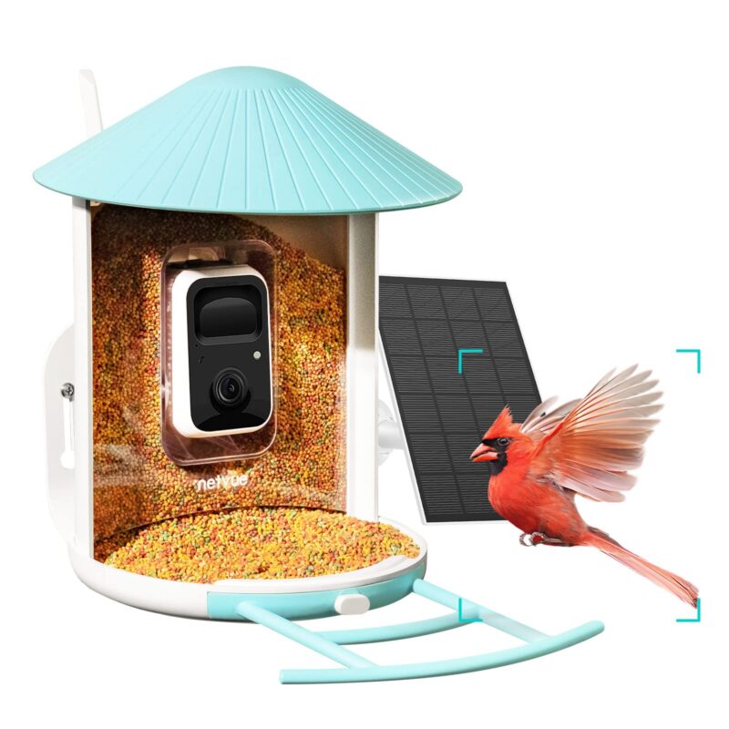 Best Smart Bird Feeders with Camera