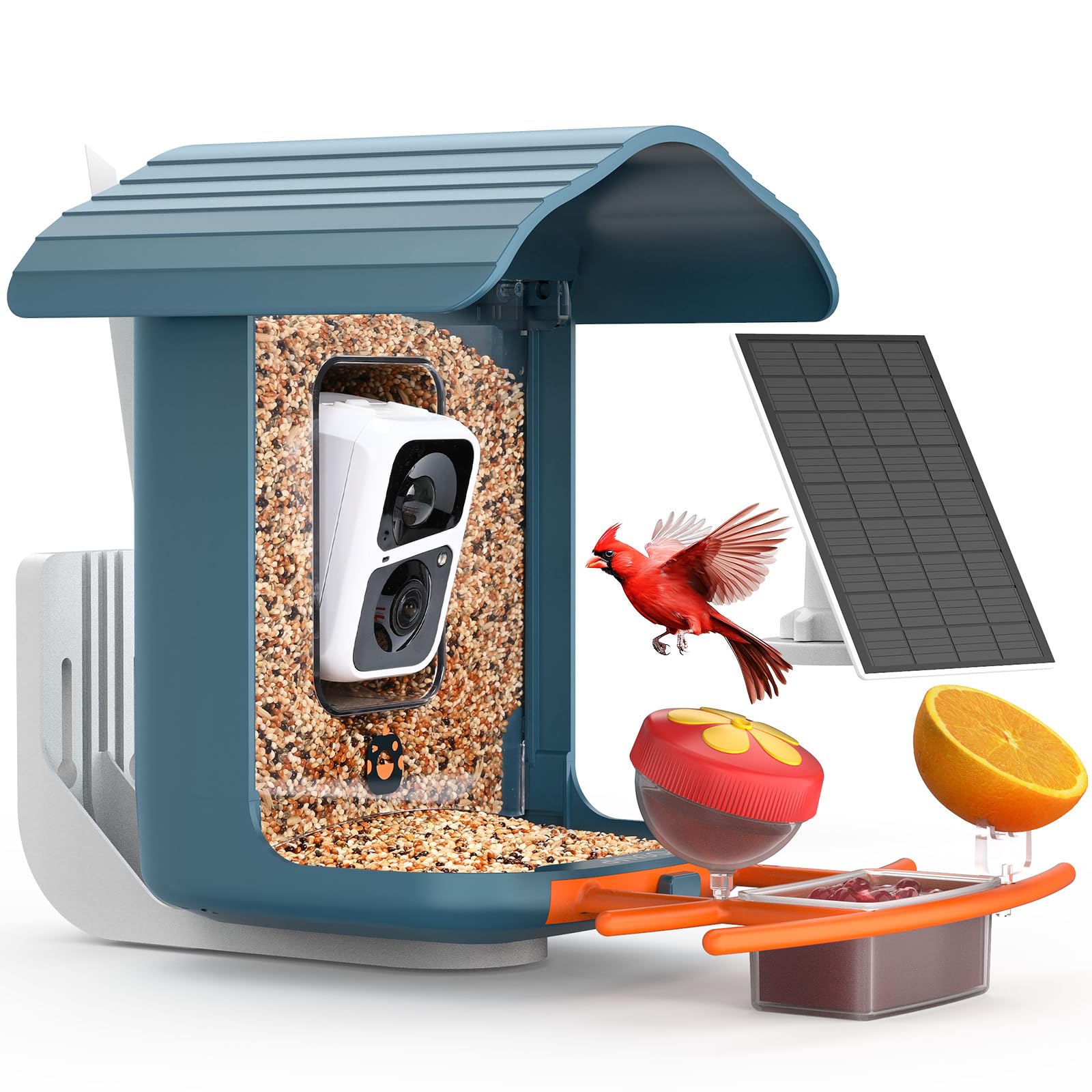 Best Smart Bird Houses