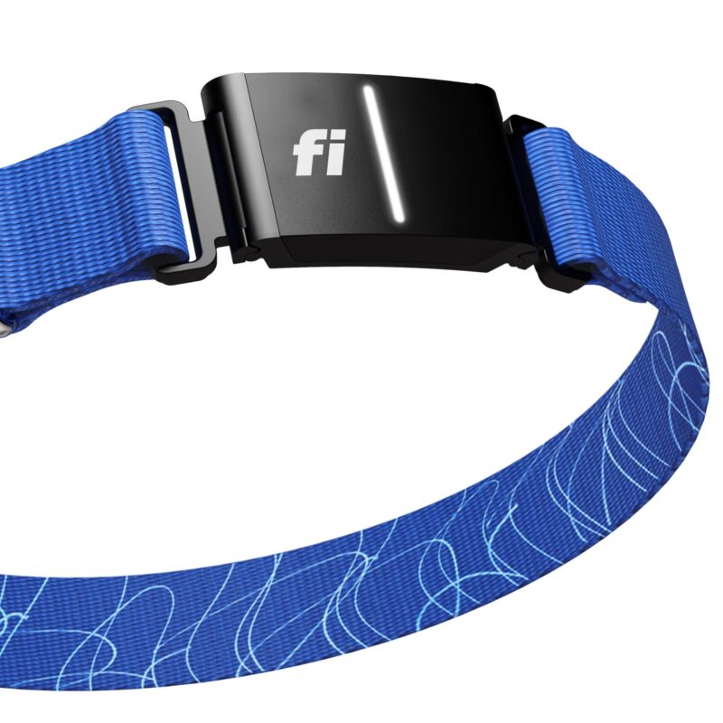 Fi Smart Dog Collar Review: Is It Worth the Investment?