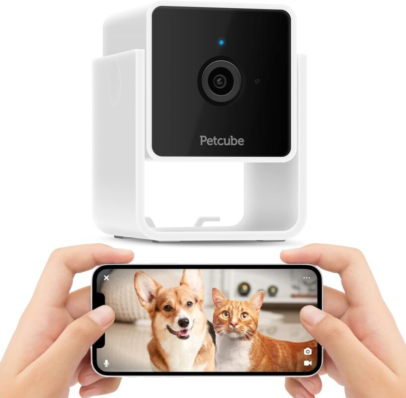 Petcube Cam Review